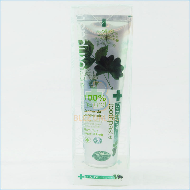 Toothpaste Dentiste 100% Natural 100g