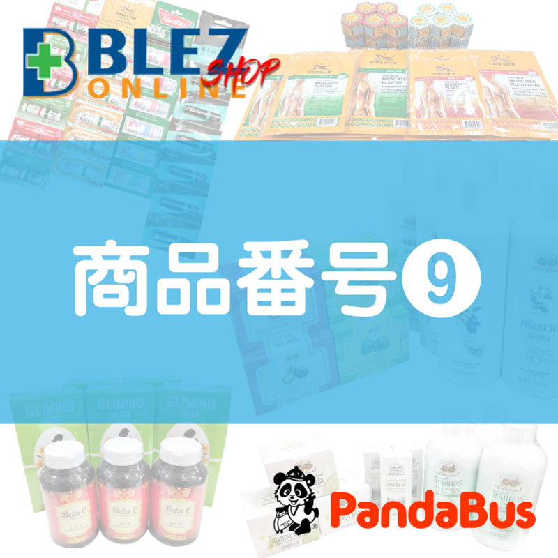 Panda Bus Item No. 9